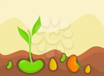 Plants growing from under ground colorful vector illustration in flat design. Vegetables giving stems and leaves on land.