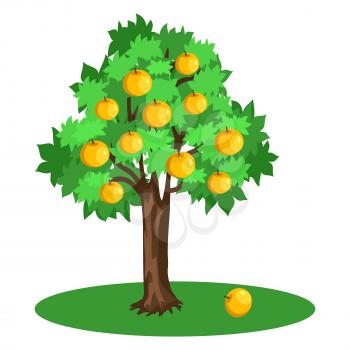 Apple tree with green leaves and yellow fruits growing on plot of land vector illustration isolated on white in flat style cartoon design