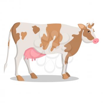 Cute cow grown on farm that produces organic, delicious and healthy milk isolated cartoon vector illustration on white background.