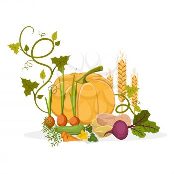 Harvest of sprouted onion, ripe pumpkin, green cucumber, sweet beet, healthy carrot, new and pink potato and bread spike vector illustration.
