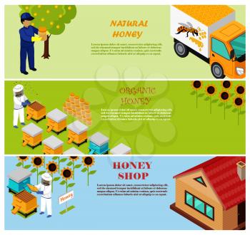 Natural, organic and shop honey vector poster of beekeepers on apiary near sunflowers or house, and male person holding jar near truck