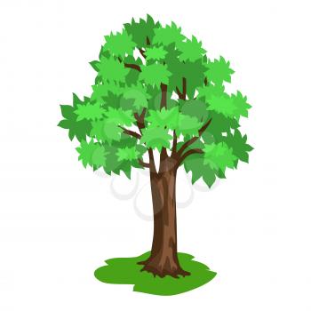 Green tree with broad brunches and brown trunk on plot of land vector illustration isolated on white background in flat style design