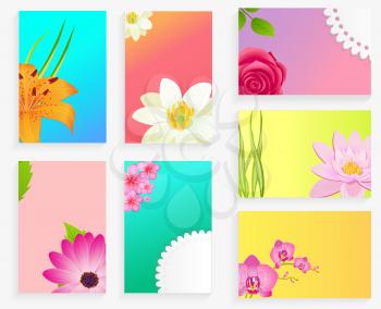 Vector poster of colorful blossoms heads set on greeting cards with place for your text. Collection of flowers on banners