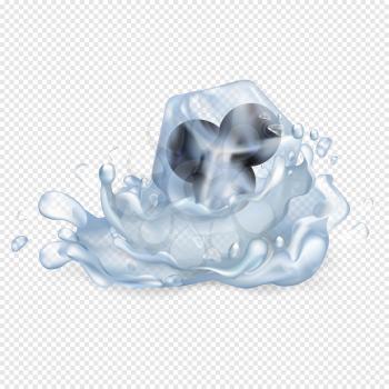 Frozen blueberries in glossy ice cube drop in water with big splash isolated vector illustration on transparent background.