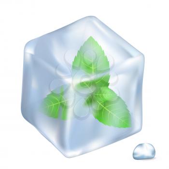 Green leaves of spearmint in frozen ice cube and small shiny water drop isolated vector illustration on white background.