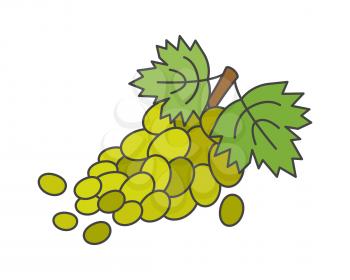 Bunch of green grapes with leaves on stem flat style vector icon isolated on white background. Ripe fruit cartoon illustration for harvest concepts, applications pictograms, logos or web design