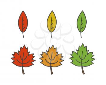 Colorful leaves of different shape flat style vector icon isolated on white set. Autumn defoliation concept. Deciduous tree leaf cartoon illustration for applications, logos or web design