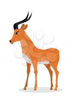 Antelope impala cartoon character. Beautiful impala flat vector isolated on white. African fauna. African antelope icon. Wild animal illustration for zoo ad, nature concept, children book illustrating