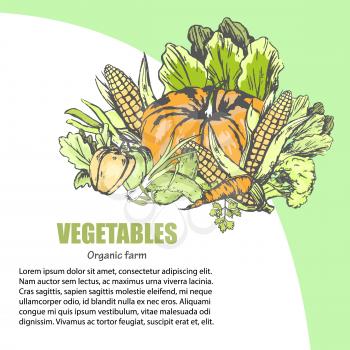 Fresh vegetables assortment with text information nearby. Vector colorful poster in graphic design of organic and healthy farm products