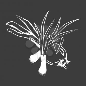 Small leek bunches and bulb onion isolated white outline sketch on black background. Spicy herbs for meals seasoning vector illustration.