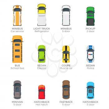 Automobiles vector collection with names on white. Car service minibus, refrigerator light truck, school bus, electric sedan, coupe muscle car, sedan police, minivan and fastback with five doors