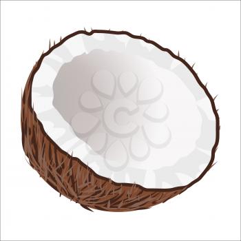 Cut in half coconut on white background. Exotic tropical nut icon. Healthy organic nutrition. Cartoon vegetarian food picture. Empty coconut without milk. Palm fruit isolated vector illustration.