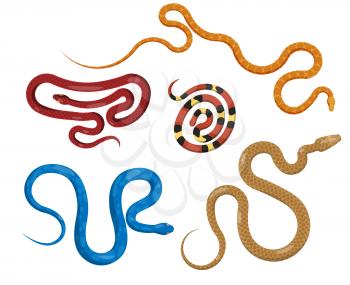 Set of serpents in different colors on white background. Vector illustration of various vipers blue with spots, checkered brown and maroon, yellow in circle, red in yellow and black stripes.