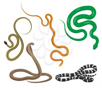 Curved slither pythons and venomous snakes icons set. Creeping colorful tropical snakes vectors isolated on white background. Crawling poisonous reptiles illustration for wild nature concepts, zoo ad