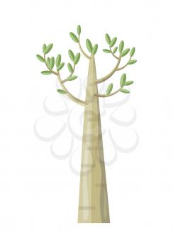 Poplar tree with green leaves. Vector tree icon. Tree forest, leaf tree isolated, tree branch nature green, plant eco branch tree, organic natural wood illustration. Vector illustration