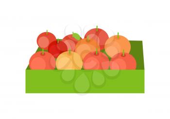 Red apples in a green box. Box full of fresh apples in flat. Box of lovely red apples. Retail store element. Isolated vector illustration on white background.