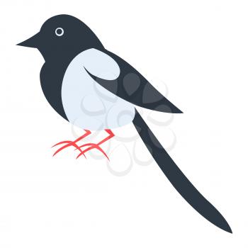Cute funny black white magpie vector flat cartoon sticker isolated on white. Wild bird or poultry illustration for game counters, price tags