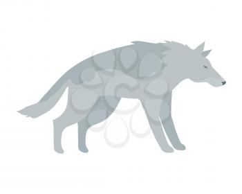 Wolf flat style vector. Wild dangerous predatory animal. Middle latitudes fauna species. For nature concepts, children's books illustrating, printing materials. Isolated on white background