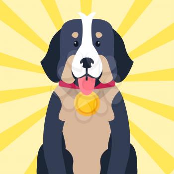 Bernese Mountain Dog champion with round golden award on neck isolated on striped yellow background. Vector illustration in flat design of highbred domestic sitting animal that won competition