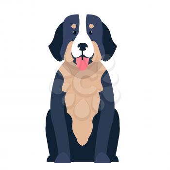 Funny cute St. Bernard dog sitting with hanging out tongue flat vector isolated on white. Lovely purebred pet illustration for animal friends and companions concepts, pet shop ad