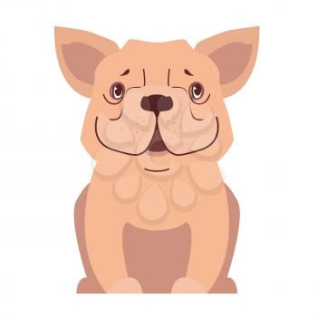 Funny cute cartoon beige french bulldog sitting with smiling muzzle isolated flat vector. Lovely purebred pet illustration for animal friends and companions concepts, pet shop ad