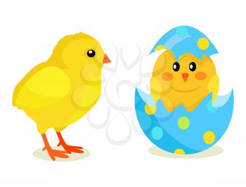 Colorful fluffy spring yellow chicken and newborn chick hatched from shell isolated on white background. Mascots of Easter celebration, symbols of new life vector illustration. Friendly feast animals