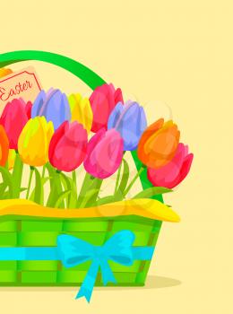 Happy easter festive concept. Different colors tulips in green wicker basket bonded blue ribbon flat vector. Scented spring flowers illustration for holiday invitations and greeting cards design