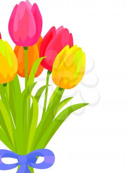 Bouquet of colorful tulips. Romantic gift from yellow, orange, red and pink tulips bounded with blue ribbon flat vector on white. Spring flowers concept with scented posy fragment and copyspace