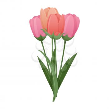 Bouquet of delicate tulips isolated on white background. Bunch of spring flowers vector illustration. Symbol of warm weather comming. Natural present for International Womens Day and Easter.