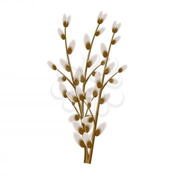 Bunch of willow twigs isolated on white background. Symbolic tree branches vector illustration. Easter celebration natural attribute. Plant that used in religious ceremonies of Christianity.