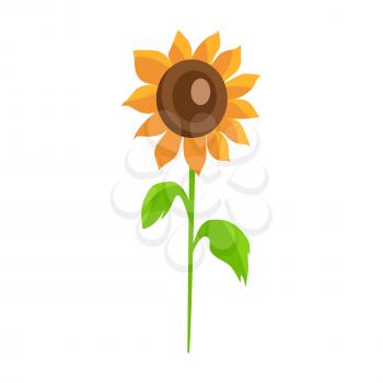 Sunflower isolated on white background. Decorative element for mobile game interface. Flower with black edible seeds and two green leaves vector illustration in flat design cartoon style