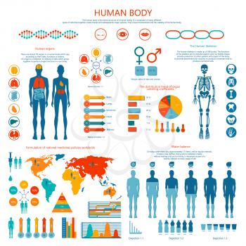 Human body infographic. Vector illustration of earthborn organs and skeleton, water balance, formulation of national medicines policies worldwide.
