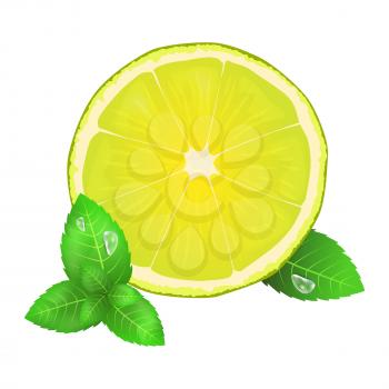 Juicy lemon or lime and green leaves of peppermint with water drops close up icon isolated on white vector illustration.