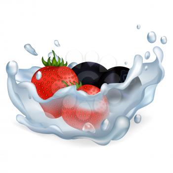 Fresh ripe strawberries and blueberries drop in pure water with big splash isolated vector illusration on white background.