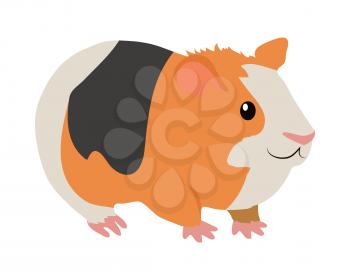 Cute guinea pig cartoon character icon isolated on white. South America fauna wild animal. Vector illustration of funny orange guinea pig with black and white stripes for zoo ad, nature concept