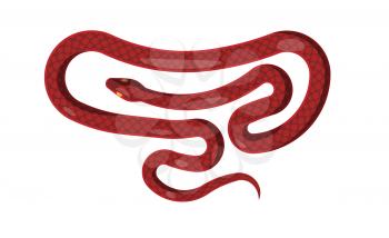 Red cartoon flat snake isolated on white background. Vector illustration of dangerous cold-blooded scaly reptile that lives all over world. Picture of wild world s representative that can poison.