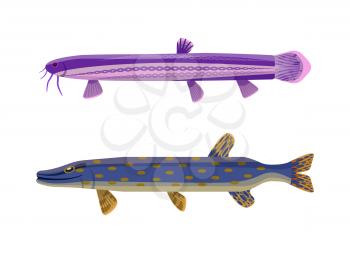 Brook trout unusual fish set. Marine animals long limbless creatures that live in water. Colorful organisms with dorsal fins vector illustration