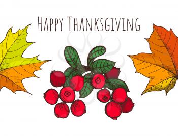 Happy Thanksgiving cranberry poster with text vector. Berry with leaves, maple foliage fallen dry object from trees. Autumnal period seasonal harvest