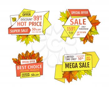 Advertisement special promotion discount on Thanksgiving day, exclusive offer buy now label with oak tree leaves. Vector autumn sale emblem yellow foliage