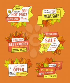 Discounts on Thanksgiving day, exclusive offer buy now labels with maple and oak tree leaves. Vector autumn sale tags yellow foliage isolated emblems