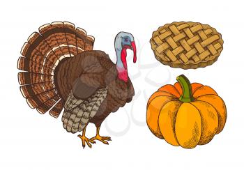 Pumpkin and turkey baked pie decorated with pastry isolated icons set vector. Poultry animal, bird symbolizing thanksgiving holiday, vegetable dessert
