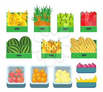 Fruit store, containers with sweet products vector. Pineapples and bananas tropical fruits, apples and pears, watermelon melon. Citrus and pomegranate