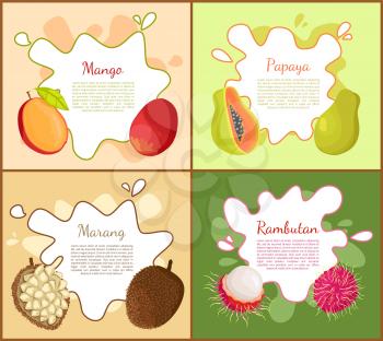 Mango and papaya posters set with text sample. Tropical fruits vegetarian dieting food. Rambutan and marang slice, nutritious meal with info vector