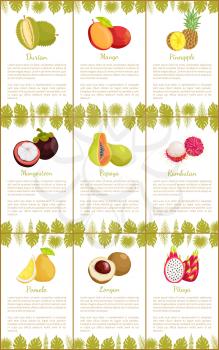 Durian and mango pineapple posters set vector. Mangosteen and pomelo, longan and pitaya, tropical fruits exotic food with monstera leaves decoration