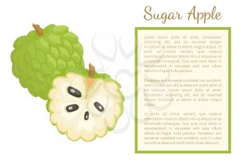 Sugar-apple, sweetsop, or custard apple, Annona squamosa, exotic juicy fruit whole and cut vector poster frame for text. Tropical edible exotic food