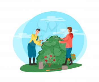 Man and woman tending bushes vector, people cutting flora with special gardening scissors, roses and flowering plant with foliage and frondage isolated