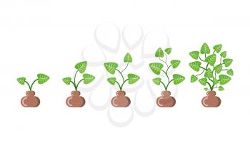 Houseplant growing in pots vector, isolated icons set of flora with leaves and foliage. Greenery of botanical elements, trunk in soil, potted vegetation