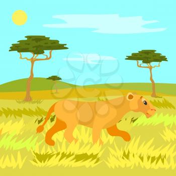 Lioness hunting vector, wildlife safari. Traveling to African countries, warm weather trees and sunshine. Wild animal running on yellow dry grass