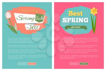 Sale, discount and best offer, label for springtime promotion and advertising, daisy bouquet. Advertisement decorated by flowers, greeting for ladies vector. Website with links buy and read now