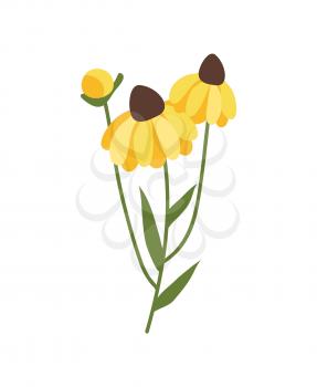 Yellow flower isolated icon vector, 8 march flora decoration. Holiday celebration, spring botanical element, thing to ornate. Bouquet blossom with petals